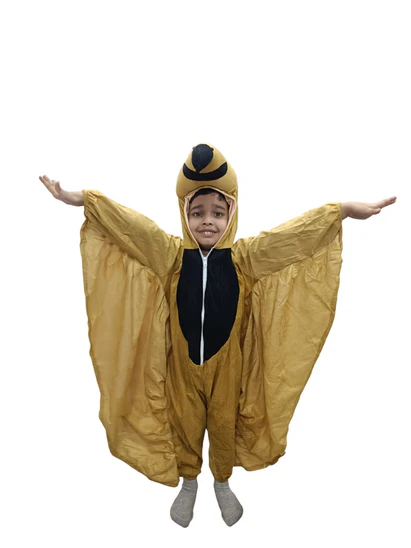costumeonrent Brown Sparrow Chidiya Bird Kids Fancy Dress Costume For Kids