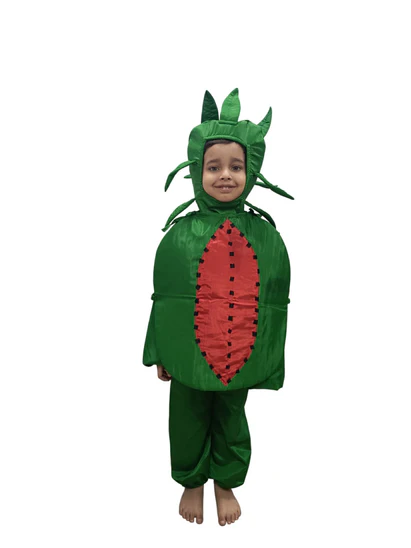  costumeonrent Watermelon Fruit Kids Fancy Dress Costume