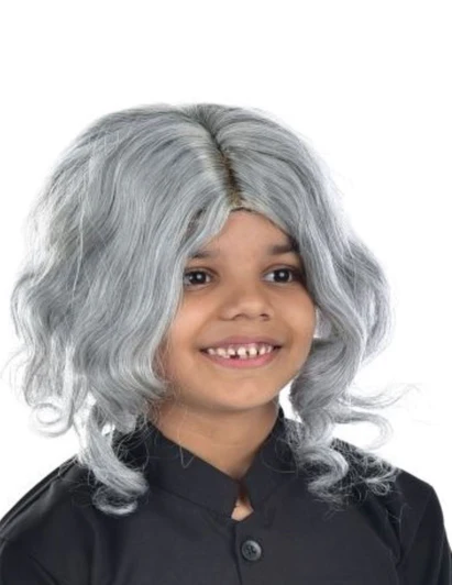 Costumeonrent Abdul Kalam & Old Man Grey Hair Wig Adult & Kids Fancy Dress Costume Accessory