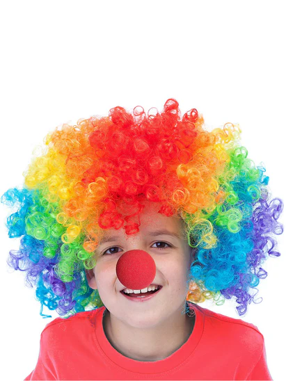 Zoom Buy Joker Clown Hair Wig & Foam Nose Unisex Adult & Kids Fancy Dress Costume Accessory